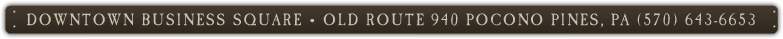 Downtown Buisness Square Old Route 940 Pocono Pines, PA 570-643-6653